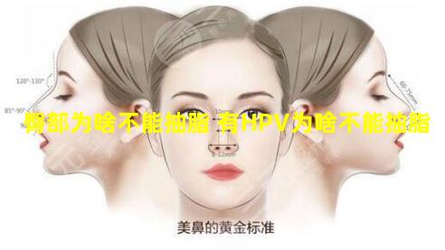 臀部为啥不能抽脂 有HPV为啥不能抽脂